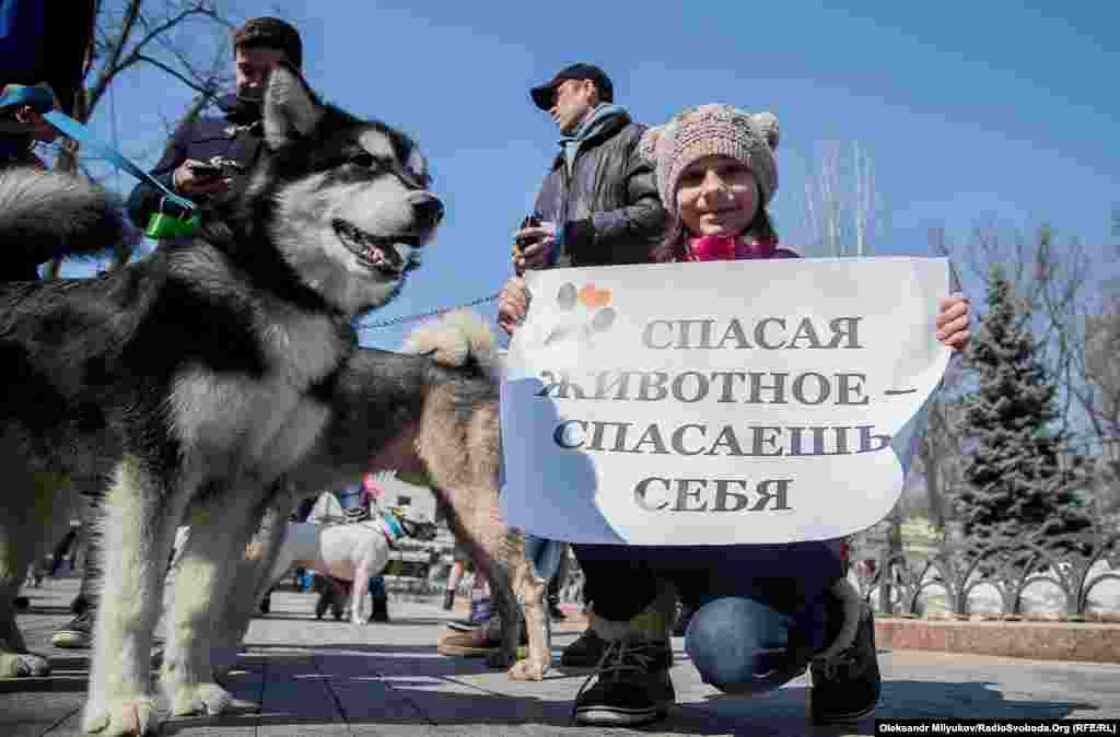 Участники шествия уверены: если быть равнодушными, бездомных животных станет еще больше.