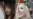 Commentary: The Femen Effect On Feminism