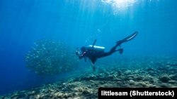 Ілюстрацыйнае фота