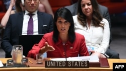 U.S. Ambassador to the United Nations Nikki Haley speaks during a Security Council meeting at UN headquarters in New York last month.