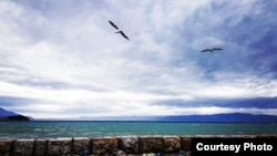 Во очекување на бранот Д.А. Лори 