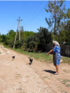 Moldova, The villages of Salcia and Orehovca in Taraclia together form the commune with the smallest population in Moldova—182 inhabitants