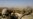Kremlin Distances Itself From Reports Of Mercenary Deaths In Syria