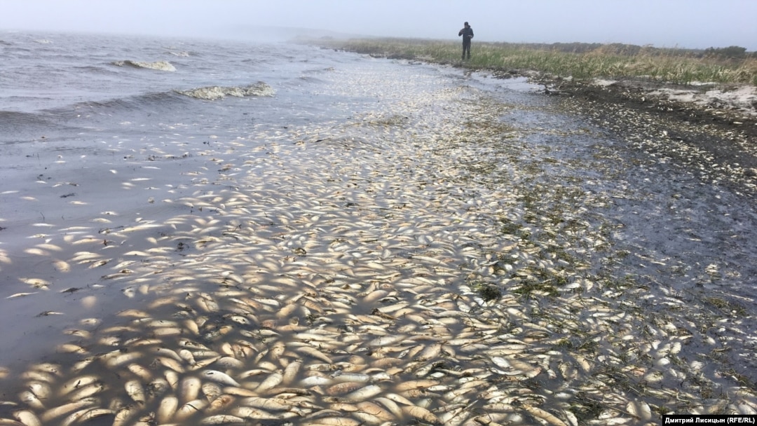 Ең арық жалаңаш әйелдер 50 ер адам қатысқан секс марафоны