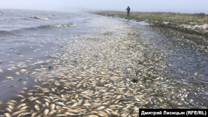 Мен сенің сиқырыңды сорамын, сына. Төсекте жабайы секс