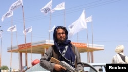 Боец "Талибана" в пригороде Кабула. 14 августа 2021 года