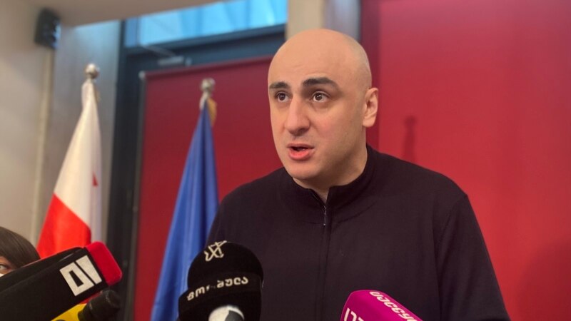 Ника Мелия назвал приоритеты «Нацдвижения»: евроинтеграция и освобождение Саакашвили