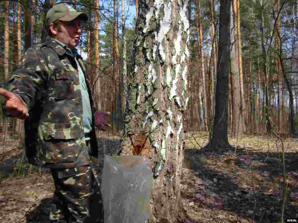 Ukraine -- Birch juice, Chernigiv region, 13Apr2010 - Березовий сік