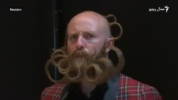 د ږیرورو او برېتورو سیالي