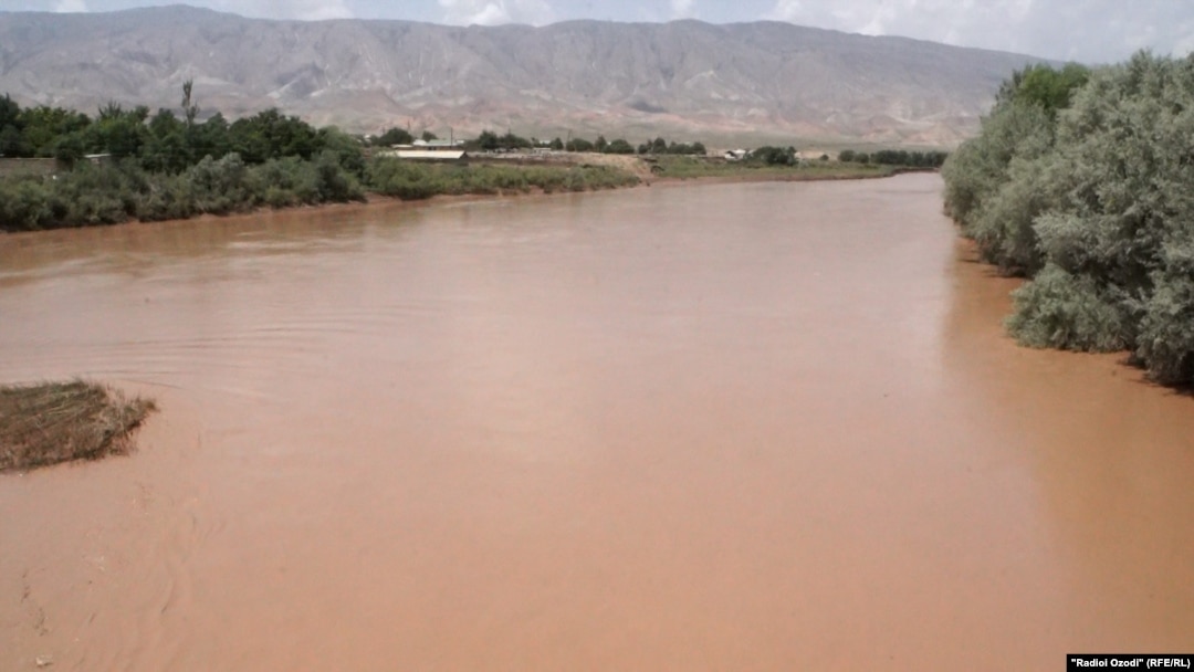 Жапон әйелі мүшені жұлып алады