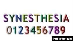При графо-цветовой синэстезии (grapheme - color) человек может воспринимать буквы и цифры окрашенными.
