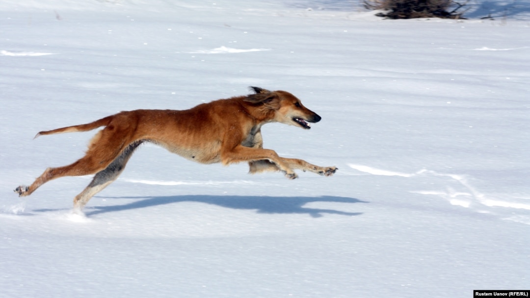 Жалаңаш адамның фотосессиясы