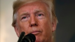 Tramp iki tragediýanyň bolan ýerine baryp görer: Puerto Riko we Las Wegas