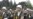 Six Dead In Shooting At Azeri Military Base