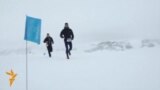 Антарктидадагы муз марафону