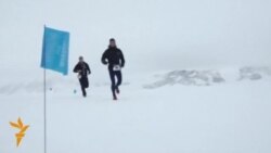 Антарктидадагы муз марафону
