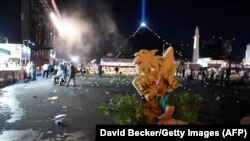 Слідчі не знають, що стало мотивом дій Педдока