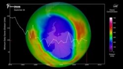 Человечество сократило выбросы в атмосферу, сокращается озоновая дыра – НАСА (видео)