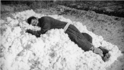 A collective farm worker rests on a pile of cotton. Photo by Max Penson.