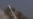 Iran Equips Navy With New Cruise Missile