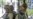 Pakistani Officer Dies In Mosque Siege