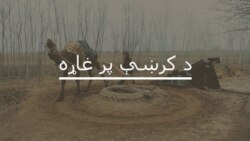 قبایلي ضلعو کې بلدیاتي ټاکنو لپاره څه تیارۍ روانې دي؟