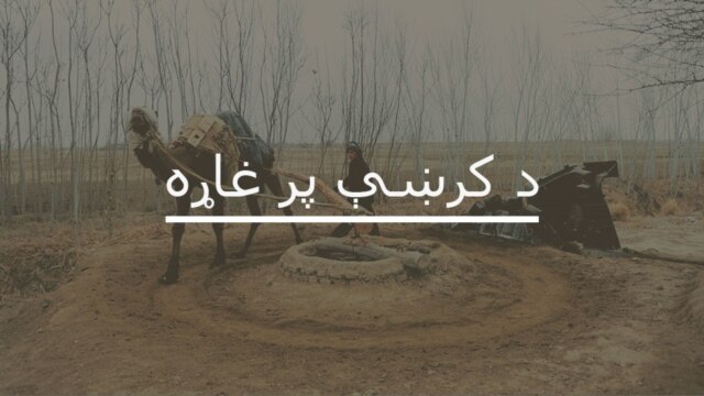 د کرښې  پر غاړه