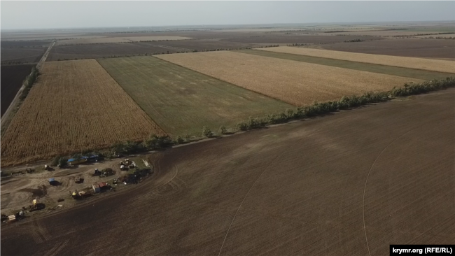 Херсонська область, Чаплинський район, сільськогосподарські поля