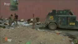 Артиши Ироқ: Мавсил то оғози моҳи Рамазон аз даҳшатафканон поккорӣ мешавад