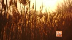 Життя пенсіонерів у Дебальцеві: другий раз на фронті