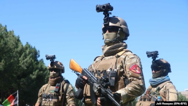 د ملا هبت الله د ادعا برعکس طالبان وخت پر وخت د جمهوري نظام پر مهال د افغانستان د امنیتي او دفاعي ځواکونو په نیولو، شکنجو او ان وژلو تورن دي