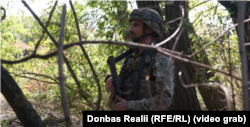 Густі крони дерев – один з найефективніших методів сховатись від FPV-дронів