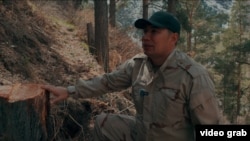 Эрнист Токтоназаров