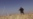 Video May Show Iranian Fighters In Syria