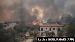 Stotine vatrogasaca bori se sa požarom u selu Afidnes, tridesetak kilometara od Atine, 6. avgust