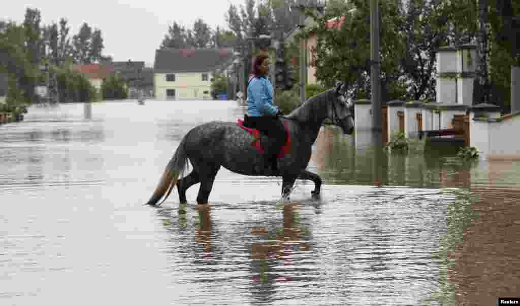 Češka - Litomerice, 4. juni 2013. Foto: REUTERS / Petr Jošek 