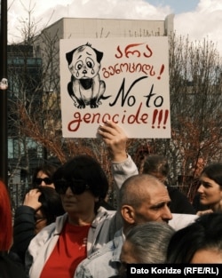 აქცია მთავრობის კანცელარიასთან