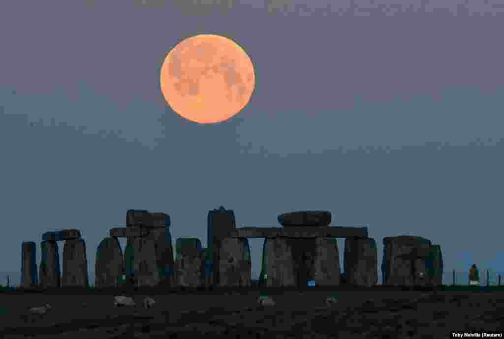&ldquo;ვარდისფერი სუპერ მთვარე&rdquo; სტოუნჰენჯის მონუმენტის ფონზე. 🌕 სუპერმთვარეს ეძახიან მოვლენას, როდესაც მთვარე დედამიწასთნ ყველაზე ახლოს მიდის. შედეგად, დედამიწიდან მთვარე ზომით ბევრად უფრო დიდი ჩანს.
აპრილის სავსე მთვარეს "ვარდისფერი სუპერმთვარე" კი აპრილის თვეში მცენარეების ვარდისფერი შეფერილობის გამო უწოდეს. 🔸 სტოუნჰენჯი პრეისტორიული მეგალითური მონუმენტია ინგლისის სამხრეთ-დასავლეთში. 1986 წელს, იუნესკომ ეს მონუმენტი მსოფლიო მემკვიდრეობის სიაში შეიყვანა.