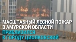 В Восточной Сибири масштабные лесные пожары, один бушует у космодрома Восточный