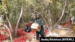 عکس از آرشیف