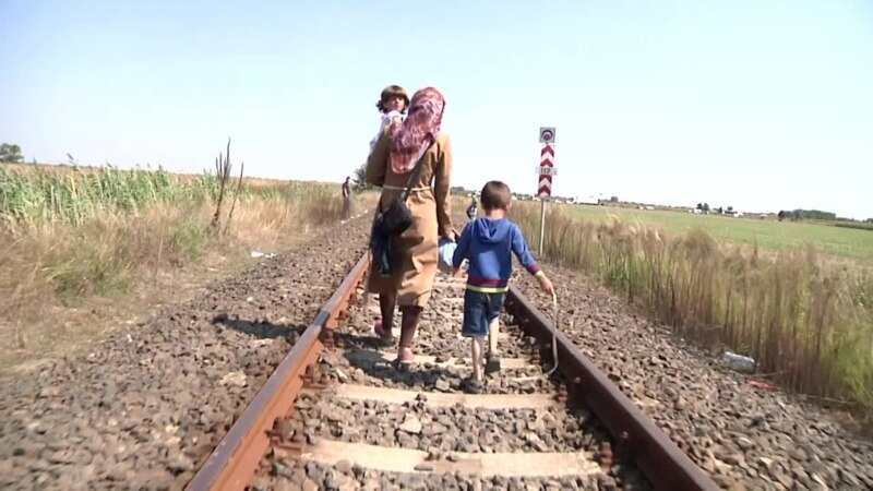 „Mi-a schimbat viața” – umbra lungă a crizei migranților din Europa de acum zece ani în trei povești personale