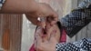 په پاکستان کې د ګوزڼ ضد واکسین کمپاین پیل شو