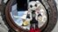Robot  Kirobo 