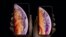 iPhone XS և iPhone XS Max բջջային հեռախոսները 