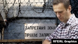 Russia -- Alexey Navalny, collage