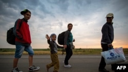 Migrants march toward the Serbian border with Hungary on their way to the EU.