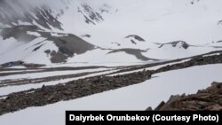 Иллюстрациялык сүрөт.