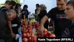 Абыкаев, Головкин и фестиваль яблок в Алматы