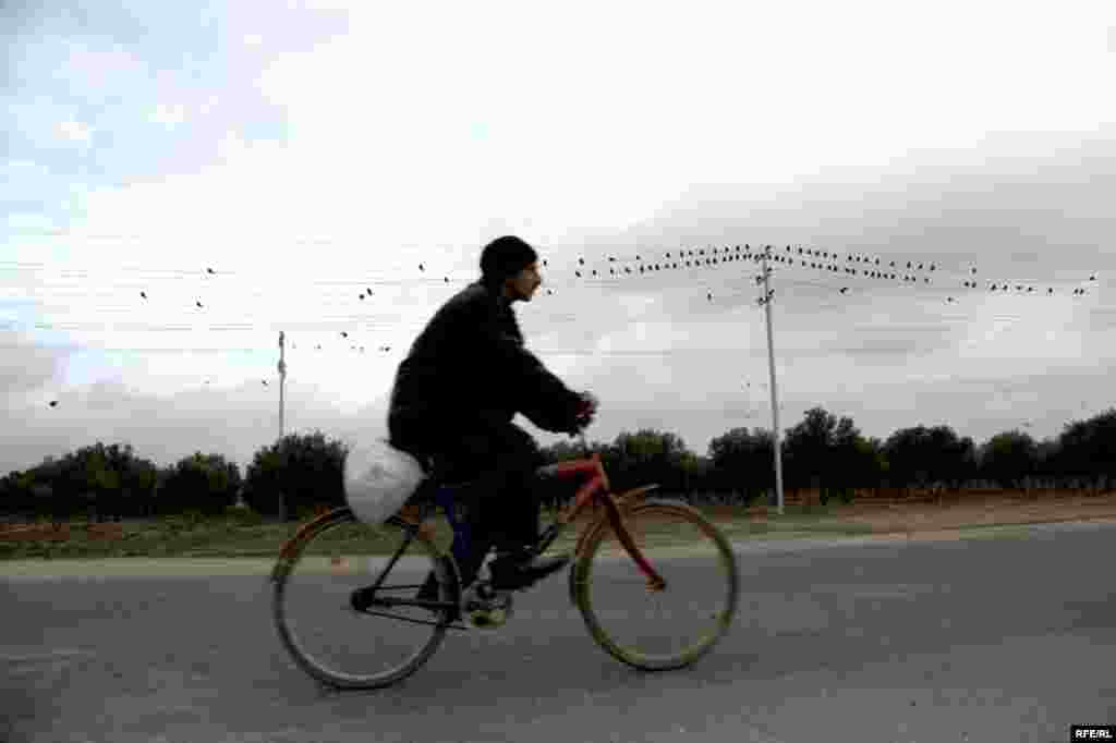 Qala kəndindən fotoreportaj #17