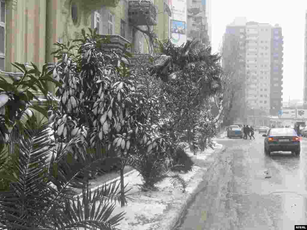 Bakının ilk qarı #20